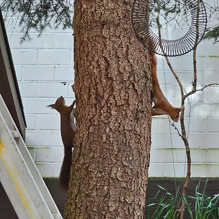 The Smart Living Nest - Comfyhome Apartment Stuttgart