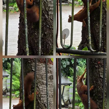 Apartment The Smart Living Nest - Comfyhome