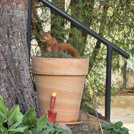 The Smart Living Nest - Comfyhome *