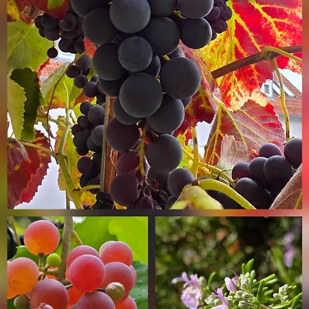 The Smart Living Nest - Comfyhome Apartment *