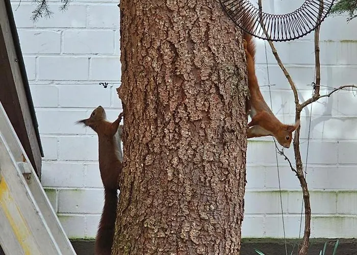 The Smart Living Nest - Comfyhome Apartman Stuttgart