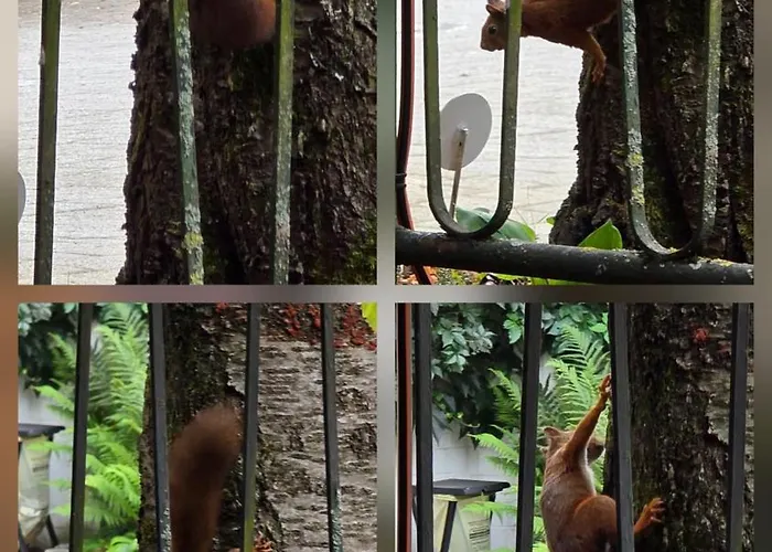 Apartman The Smart Living Nest - Comfyhome