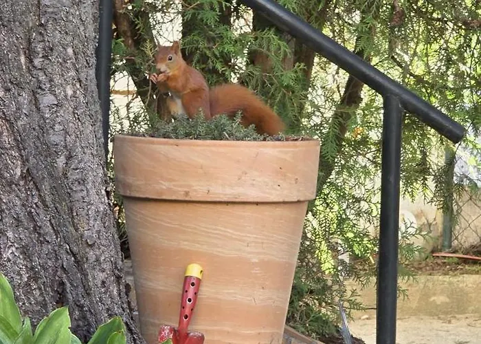 The Smart Living Nest - Comfyhome *