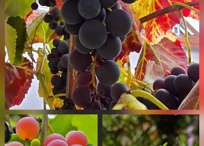 The Smart Living Nest - Comfyhome Apartman *