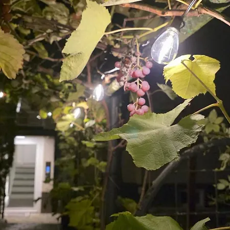 The Smart Living Nest - Comfyhome 아파트 슈투트가르트